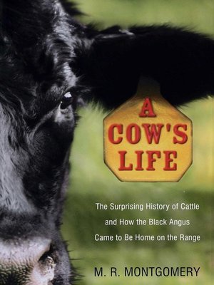cover image of A Cow's Life